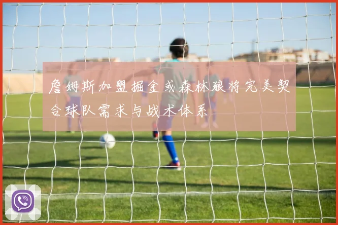 詹姆斯加盟掘金或森林狼将完美契合球队需求与战术体系